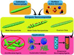 cnc urea|Application of surface chemical functionalized cellulose nanocrystals .